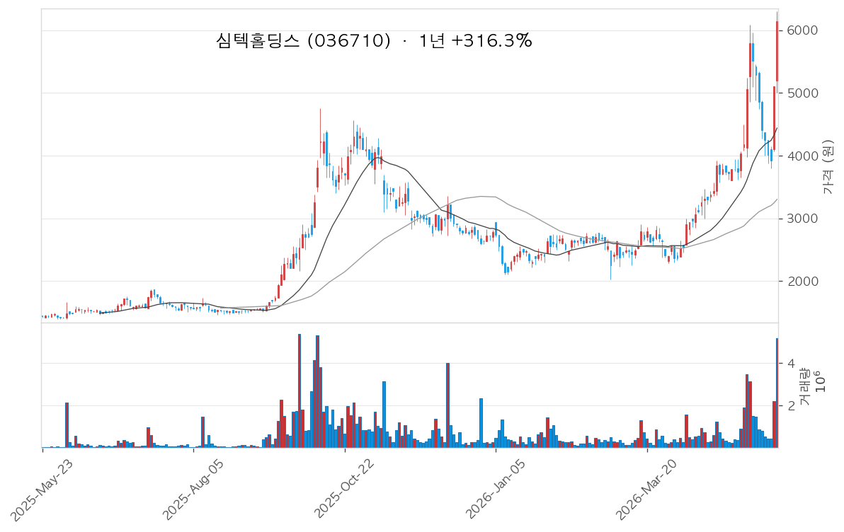 심텍홀딩스 차트