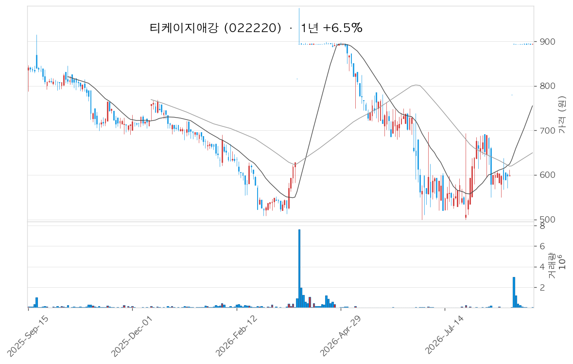 티케이지애강 차트